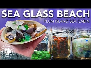 Holy Cow! Shelling & Sea Glass | Unique Beach Finds | Best Beaches For Shells | Sea Glass Beach