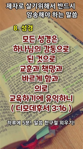 [ 일대일 제자 양육 암송 말씀 8 ] #디모데후서 3:16 #성경