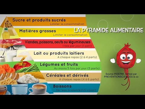 Groupes d’aliments, Constituants alimentaires, Rôles nutritionnels.