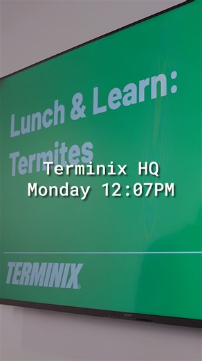 Terry's lunch raises a minor concern in the team's meeting. At Terminix, we work with pests (so you don't have to.) | Terminix Service, Inc.