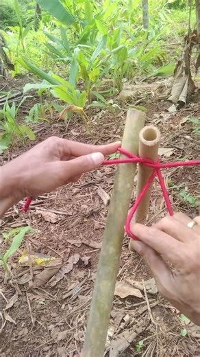 Tie It Once, Forever Strong! #knot