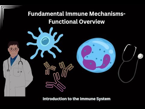 Introduction to the Immune System- Functional Overview