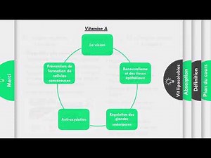 Biochimie :les vitamines (part 1)