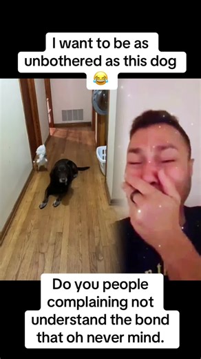 Funny Cockatoo Sings and Dances Like a Star