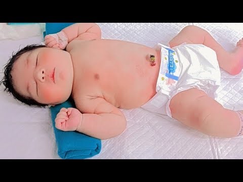 New born cute babies video👼😻