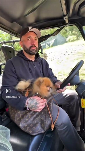 Board & Train Dog Learns “Bag” Command + UTV Exposure Training 🧳🐕