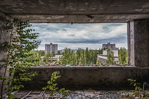 Plants couldn’t run away from Chernobyl—but that’s what saved them
