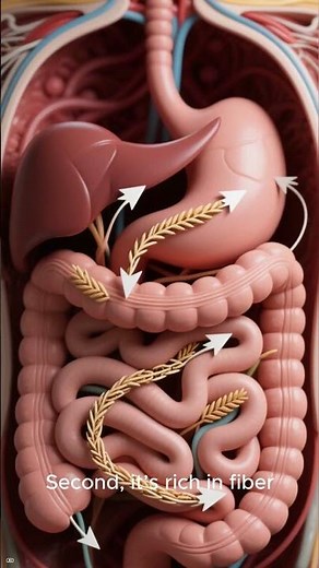 🌾 Top 3 Health Benefits of Quinoa | Why This Superfood Is So Powerful