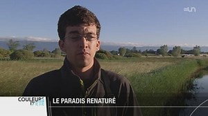 GE: la Seymaz, seule rivière entièrement genevoise, est un paradis pour les oiseaux et les promeneurs - Couleurs d'été - Play RTS