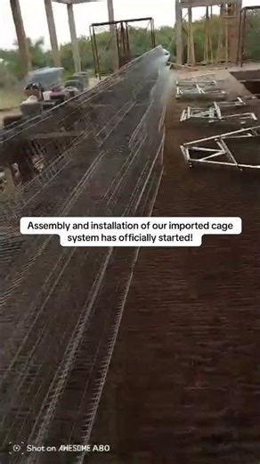 Layer Cage Assembly & Installation Begins | Farm Update 🐔🥚