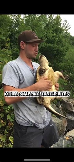 Crazy snapping turtle bites vs last one#turle#bite#snappingturtle