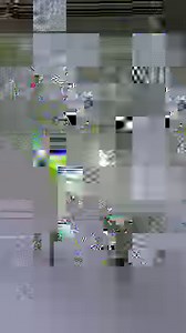 Patrick Depailler runs his six-wheel Tyrrell P34 round Monaco, 1977. Note the way the 'Elf' logo has been reversed to face the camera. 🎥: #AFAVA /Alain Boisnard #tyrrell #tyrrellp34 #elfracing #patrickdepailler #monacogp #lapofthegods #f1history | Custodian