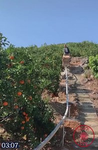 500K views · 2K reactions | This Is How Smart People Do Farming  | Karina Smirnoff | Facebook