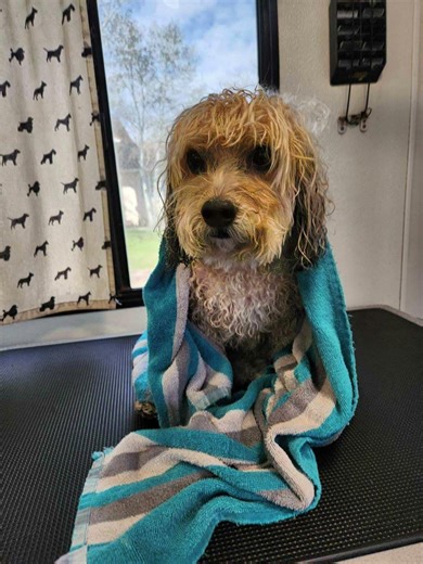 Direct vs. Indirect Costs