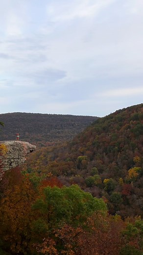 The most photographed spot and one of the best hikes in Arkansas! You have to check this one out if you’re in the Ponca area! . 📍 Whitaker Point (aka Hawksbill Crag) 🥾 2.7 miles . . . #whitakerpoint #arkansashikes #arkansaslife #arkansasfall #hawksbillcrag #parkingnationally