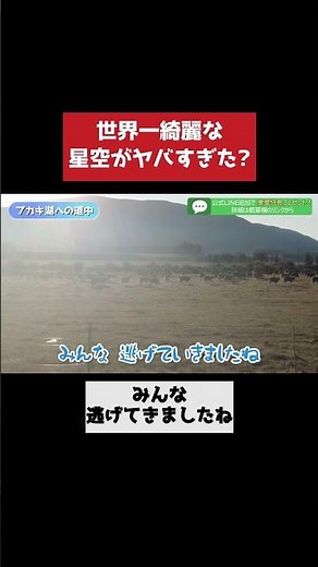 【マジでやばい】世界一綺麗な星空を誇るニュージーランドのテカポ湖に行った