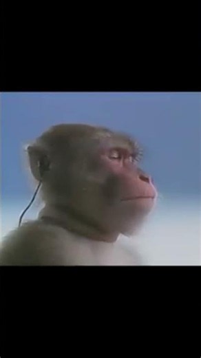 1980's Sony Walkman Monkey Commercial