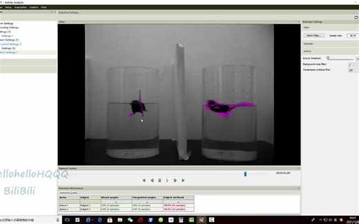 Activity Analysis by Ethovision