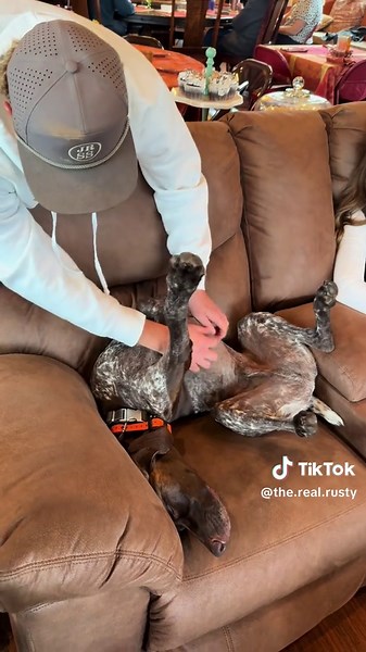 Thanksgiving Food Coma: The Ultimate POV Experience