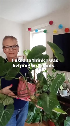 I thought I was helping my plants… but I was actually overwatering them. 💧 Learning how to water properly changed everything — and now my plants (and I) are thriving. 🌿 If you’ve ever struggled with when or how much to water, my Mini Watering Guide will make it easy. 💚 Launch Price £3.99 - link in bio 🌿 Normal price: £6.99 — get it while it’s discounted! #houseplantcare #wateringplants #plantparenthood #plantlover #plantbeginner ------------------ plant watering tips how to water houseplants