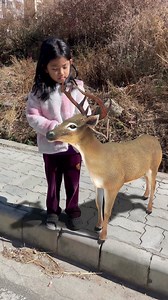 38K views · 754 reactions | Integration of CGI with Live-footage by cinema. #fypシ゚viralシ #vfx | Bhutan VFX | Facebook