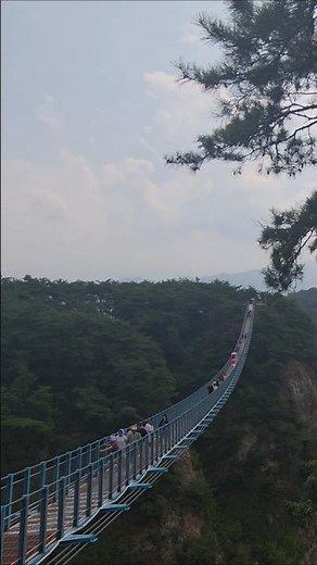 한국 관광 100선! 강원도 원주여행 필수코스 소금산그랜드밸리 출렁다리