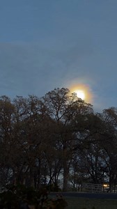 James Powell on Reels