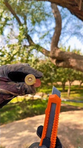 How Shotgun Shells Are Built — Educational Overview #shotgunshooting #shots