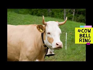 Cow Bell Ring sound |Sound Effect Studio|2020