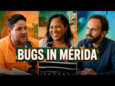 Bugs in Mérida Mexico: The Pest Control Truth