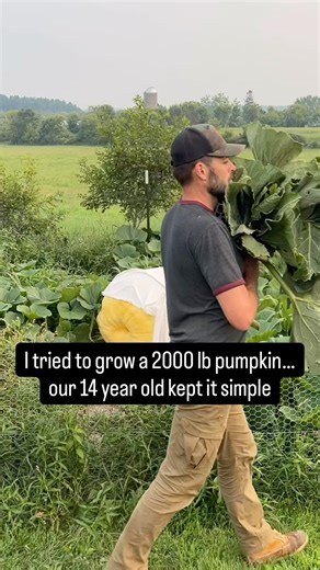$50 vs $600 Giant Pumpkin…Worth It?