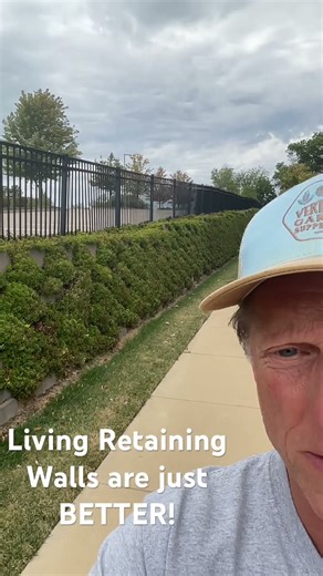 🌱Living Retaining Wall Safari v3 #verticalgardens #landscaping #retainingwalls