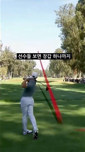 손 감각이 중요한 골프 가성비 좋은 양피 골프장갑 추천 #골프장갑#양피골프장갑#양피장갑#골프장갑교체#타이틀리스트골프장갑
