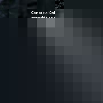 El loris perezoso​ (Nycticebus) es un primate que habita en el sur y sudeste de Asia y que destaca por su curioso aspecto: unos ojos grandes y redondos como los de un peluche, una nariz pequeña y chata y una cara que mezcla la de un panda rojo y un perezoso. Sin embargo, a pesar de cómo parece es considerado como el único primate venenoso del mundo. Segregan toxinas en la saliva y glándulas en el interior del codo que, al mezclarlas, crea una especie de veneno doble. Por otro lado, tiene una ali