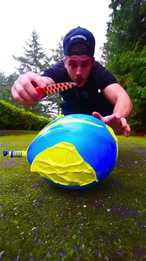 Silliest Things Ever Caught on Camera