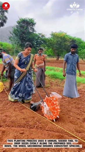 Manual Multi-Row Seed Planter: Uniform Bed Marking and Precision Seed Placement #smartfarming
