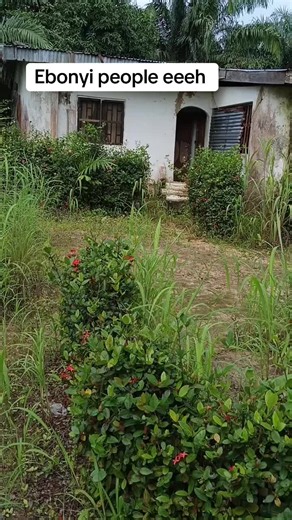 The People of Ebonyi: Who They Are and Cultural Highlights