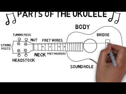 Parts of the ukulele