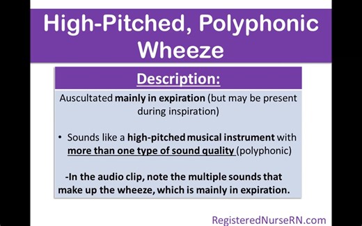 Wheezes Lung Sounds High Pitched Polyphonic Wheeze Sibilant Wheeze Rhon｜ISPN｜RN｜