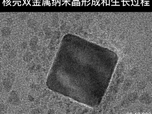 重磅《Nature》大子刊终于看到了!原子尺度观察核壳双金属纳米晶形成和生长过程