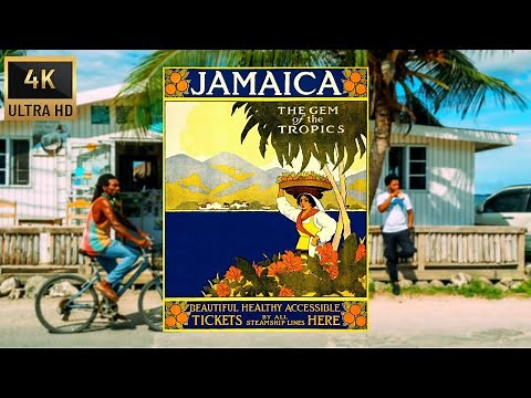 Reggae Roots & Dub Instrumental | Rasta Vibes | Jamaica & Caribbean 4K ULTRA-HD
