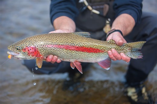 Where to Fish in Alaska This Fall, According to Local Anglers