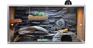 Custom Reptile Habitats & Tanks | Zen Habitats