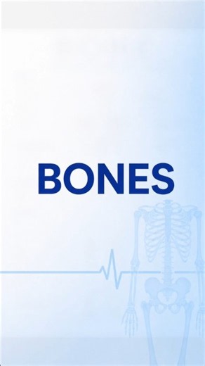 Bones of Human Body 🦴 | Human Skeletal System | Anatomy #shorts