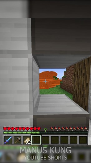 Escaping a LAVA TSUNAMI in Minecraft
