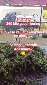 30K views · 296 reactions | Penyulingan Nilam Tara2 Dani Rawung #Reels #Nilam #DaunDolarComunity | Devis Tambajong | Facebook