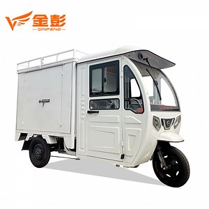 [Hot Item] 1000W Customized Color 3 Three Wheel Electric Cargo Motorcycle Trike