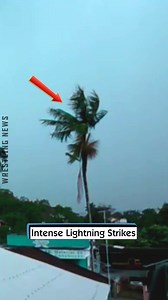 1.6K views · 13 reactions | Intense Lightning Strikes | Wrestling News | Facebook