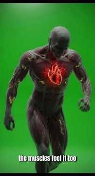 What Is Aortic Stenosis? Inside Your Heart's Failing Valve (3D Animation