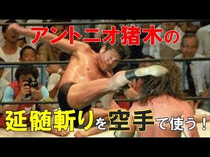 【プロレススーパースター列伝編5】アントニオ猪木の延髄斬りを空手で使う！【超背近距離ハイキック】